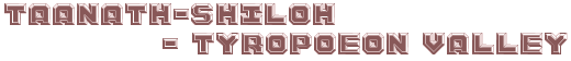t's