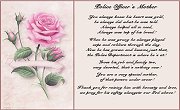 A police officer's Mom